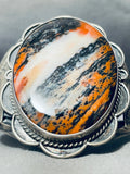One Of Best Ever Vintage Native American Navajo Museum Petrified Wood Sterling Silver Bracelet-Nativo Arts