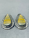 One Of The Most Rare Vintage Native American Navajo Ben Begaye Honeybee Jasper Earrings-Nativo Arts