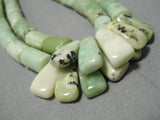 Best Navajo Variscite Bisbee Turquoise Native American Heishi Necklace-Nativo Arts