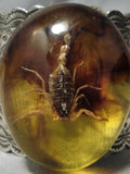 Crazy Huge Native American Scorpion Amber Sterling Silver Hand Tooled Bracelet-Nativo Arts