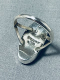 Completely Hand Inlaid Native American Navajo Monument Valley Sterling Silver Ring-Nativo Arts