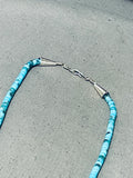 Extremely Intricate Native American Zuni Turquoise Bird Sterling Silver Fetish Necklace-Nativo Arts
