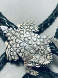 Astonishing Native American Navajo Sterling Silver Toad Bolo Signed-Nativo Arts