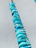 Native American Tremendous Vintage Santo Domingo Royston Turquoise Heishi Necklace-Nativo Arts
