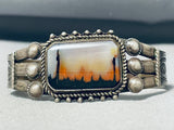 Natural Forest Vintage Native American Navajo Petrified Wood Sterling Silver Bracelet-Nativo Arts