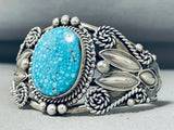 Dynamic Native American Navajo Spiderweb Turquoise Sterling Silver Bracelet Signed-Nativo Arts