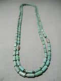 Rare Tubule Turquoise Wrap Around Sterling Silver Native American Necklace-Nativo Arts