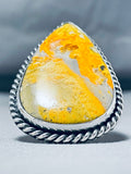 Native American One Of The Craziest Honeybee Jasper Sterling Silver Massive Ring-Nativo Arts