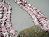 Native American Important Santo Domingo Signed Purple Shell Turquoise Butterfly Necklace-Nativo Arts