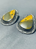 Important Ben Begaye (d) Vintage Native American Navajo Honeybee Jasper Sterling Silver Earrings-Nativo Arts