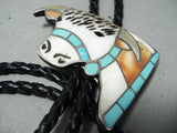 Important Cow Huge Vintage Native American Zuni Turquoise Sterling Silver Bolo Tie Old-Nativo Arts