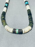 Native American Fantastic Santo Domingo Turquoise Serpentine Shell Necklace-Nativo Arts
