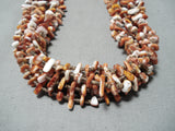 Native American Incredible Santo Domingo Native Ameerican Spiny Oyster 8 Strand Necklace-Nativo Arts