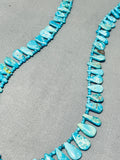 Native American One Of The Best Ever Vintage Santo Domingo Gilbert Turquoise Heishi Necklace-Nativo Arts
