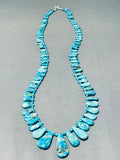 Native American One Of The Best Ever Vintage Santo Domingo Gilbert Turquoise Heishi Necklace-Nativo Arts
