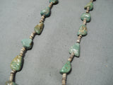Native American Outstanding Santo Domingo Royston Turquoise Heishi Necklace-Nativo Arts