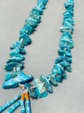 Native American Rare Gilbert Turquoise Vintage Santo Domingo Jacla Heishi Necklace Old-Nativo Arts