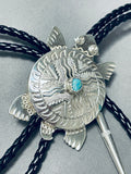 Important Native American Navajo Signed Turquoise Sterling Silver Turtle Huge Bolo-Nativo Arts