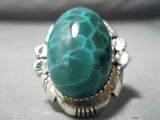 One Of The Most Protruding Agate Sterling Silver Native American Navajo Ring-Nativo Arts