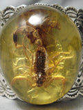 Museum Scorpion Amber Native American Sterling Silver Stamped Bracelet-Nativo Arts