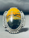 Breathtaking Native American Navajo Honeybee Jasper Sterling Silver Ring Signed-Nativo Arts