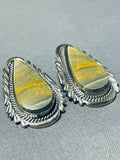 One Of The Most Rare Vintage Native American Navajo Ben Begaye Honeybee Jasper Earrings-Nativo Arts
