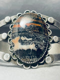 Natural Scenery Lake And Mountain Vintage Native American Navajo Petrified Wood Bracelet-Nativo Arts