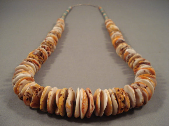 Beautiful Santo Domingo Huge Shell Turquoise Heishi Native American Jewelry Silver Necklace-Nativo Arts