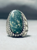 Unforgettable Vintage Native American Navajo Variscite Sterling Silver Ring-Nativo Arts