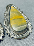 One Of The Most Rare Vintage Native American Navajo Ben Begaye Honeybee Jasper Earrings-Nativo Arts