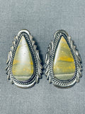 One Of The Most Rare Vintage Native American Navajo Ben Begaye Honeybee Jasper Earrings-Nativo Arts