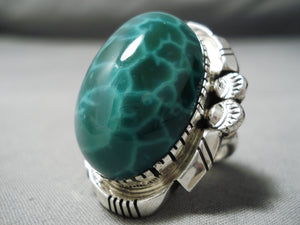 One Of The Most Protruding Agate Sterling Silver Native American Navajo Ring-Nativo Arts