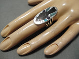 Important Native American Zuni Harlan Coonsis Bird Turquoise Sterling Silver Ring-Nativo Arts
