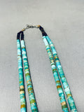 Native American One Of The Best Ever Vintage Santo Domingo Turquoise Heishi Necklace-Nativo Arts