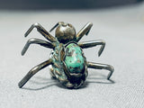 Rare Vintage Native American Navajo Old Kingman Turquoise Sterling Silver Spider Pin-Nativo Arts