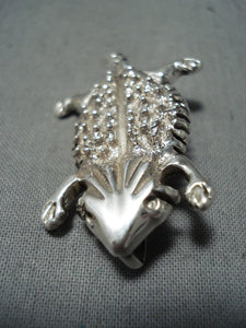 Terrific Native American Navajo Sterling Silver Toad Pin/pendant-Nativo Arts