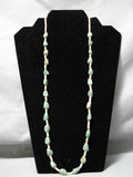Native American Marvelous Santo Domingo Royston Turquoise Shell Sterling Silver Necklace-Nativo Arts
