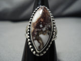 Important Jeanette Dale Sterling Silver Native American Navajo Wildhorse Turquoise Ring-Nativo Arts