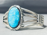 Birds Eye Spiderweb Turquoise Native American Navajo Sterling Silver Bracelet-Nativo Arts