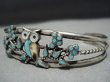 Exquisite Vintage Native American Jewelry Zuni Wise Owl Turquoise Sterling Silver Bracelet Cuff-Nativo Arts