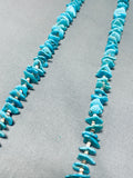 Rare longer Vintage Native American Navajo Easter Blue Turquoise Sterling Silver Necklace-Nativo Arts