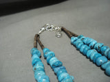 Important Santo Domingo **turquoise Corwn Plants** Native American Jewelry Silver Necklace-Nativo Arts