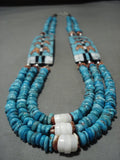 Important Santo Domingo **turquoise Corwn Plants** Native American Jewelry Silver Necklace-Nativo Arts