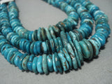 Important!! Santo Domingo Turquoise Parrot Sterling Native American Jewelry Silver Necklace-Nativo Arts