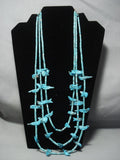 One Of The Best Vintage Navajo Turquoise Fetish Sterling Native American Jewelry Silver Necklace-Nativo Arts