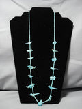 Opulent Vintage Native American Navajo Turquoise Animal Fetish Sterling Silver Necklace-Nativo Arts