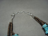 Very Rare Santo Domingo *sacred Turtle* Turquoise Native American Jewelry Silver Necklace-Nativo Arts